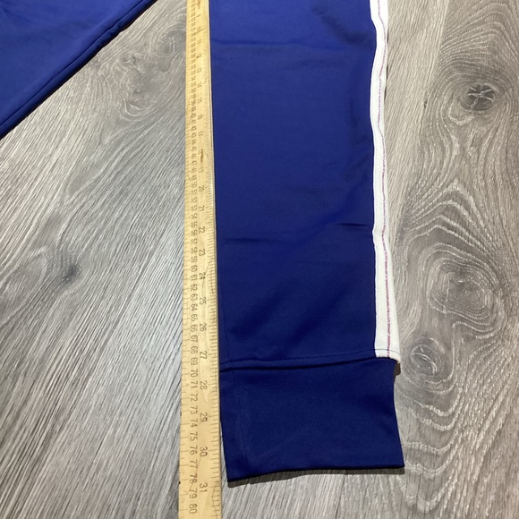 Disney 50th Anniversary Track Jogger Sweatpants Sparkle Blue Cinderella’s Castle - Picture 9 of 12